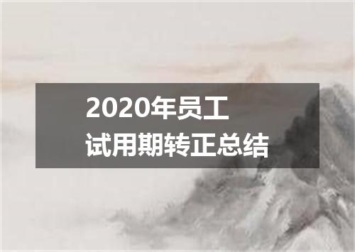 2020年员工试用期转正总结