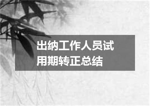 出纳工作人员试用期转正总结