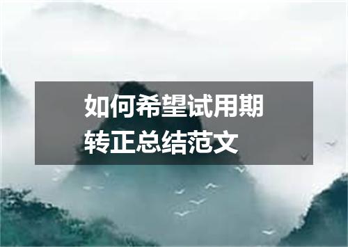 如何希望试用期转正总结范文