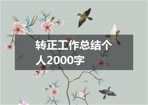 转正工作总结个人2000字
