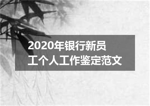 2020年银行新员工个人工作鉴定范文