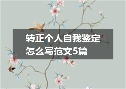 转正个人自我鉴定怎么写范文5篇