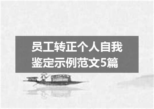 员工转正个人自我鉴定示例范文5篇