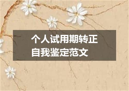 个人试用期转正自我鉴定范文