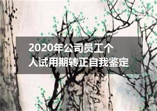 2020年公司员工个人试用期转正自我鉴定