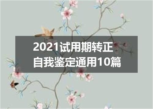 2021试用期转正自我鉴定通用10篇