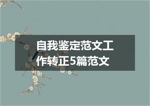 自我鉴定范文工作转正5篇范文