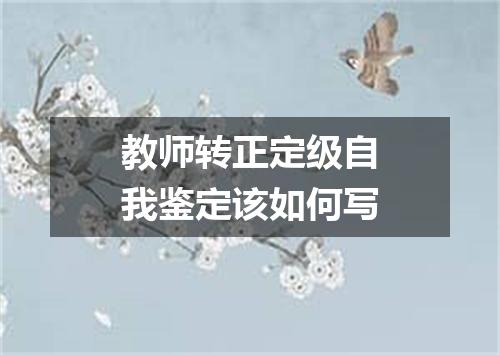 教师转正定级自我鉴定该如何写