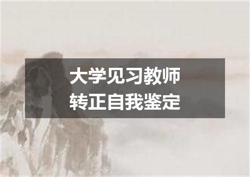大学见习教师转正自我鉴定
