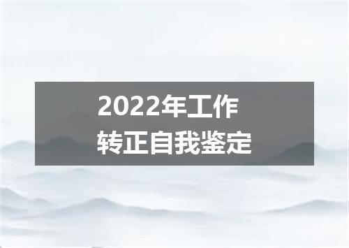 2022年工作转正自我鉴定