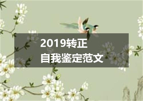 2019转正自我鉴定范文