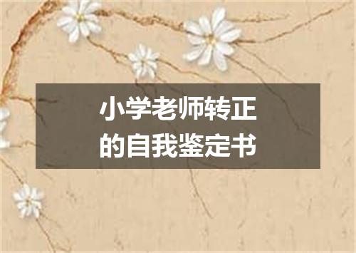 小学老师转正的自我鉴定书
