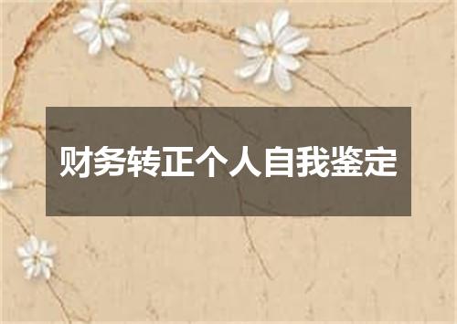 财务转正个人自我鉴定