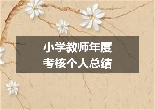 小学教师年度考核个人总结
