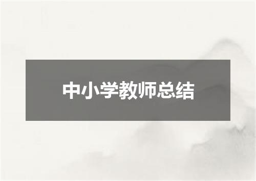 中小学教师总结