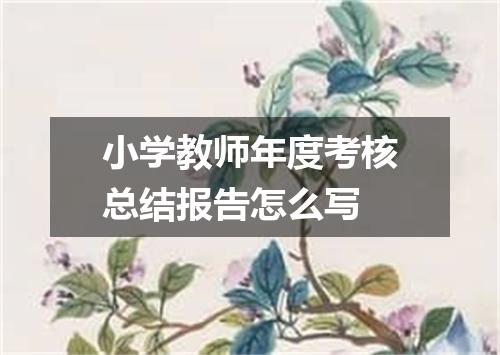 小学教师年度考核总结报告怎么写