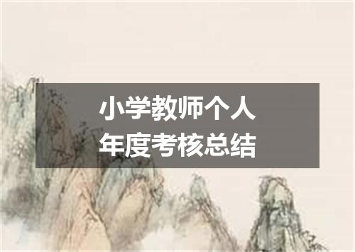 小学教师个人年度考核总结