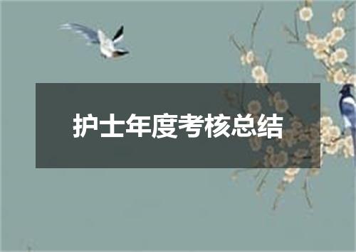 护士年度考核总结