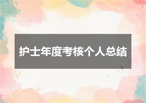 护士年度考核个人总结