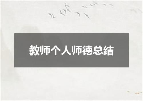 教师个人师德总结