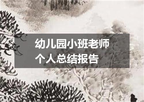 幼儿园小班老师个人总结报告