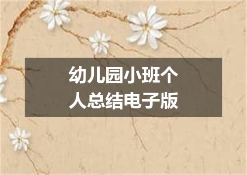 幼儿园小班个人总结电子版