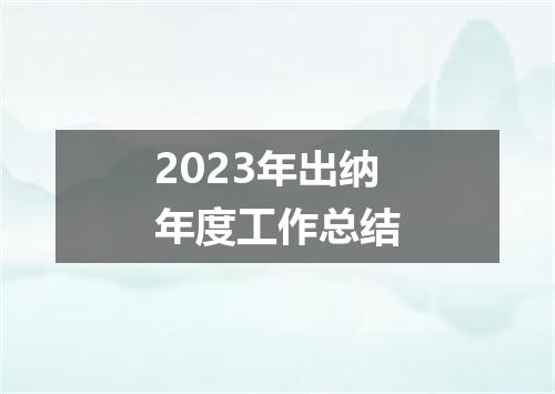 2023年出纳年度工作总结