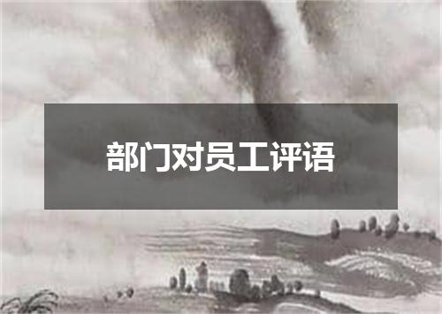 部门对员工评语