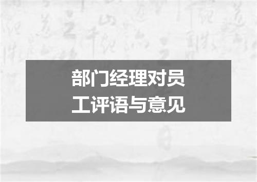 部门经理对员工评语与意见