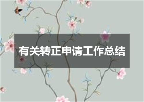 有关转正申请工作总结