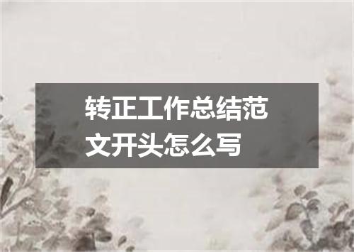 转正工作总结范文开头怎么写