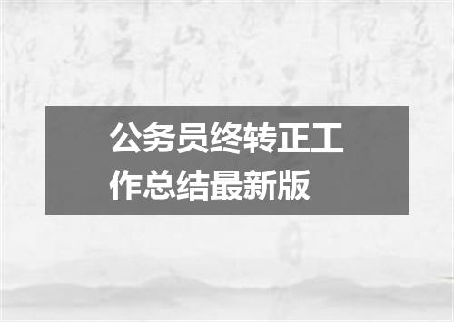 公务员终转正工作总结最新版