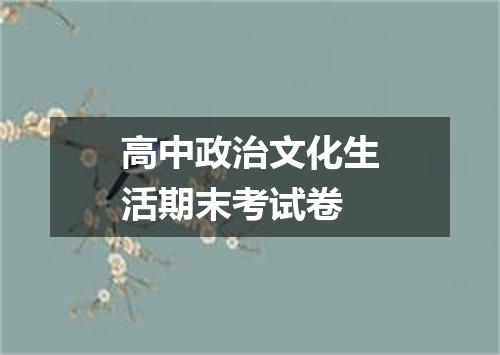 高中政治文化生活期末考试卷