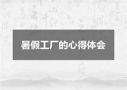暑假工厂的心得体会