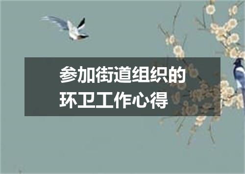 参加街道组织的环卫工作心得