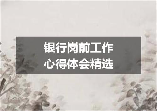 银行岗前工作心得体会精选