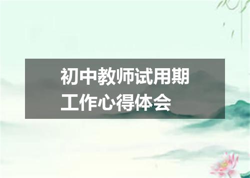 初中教师试用期工作心得体会
