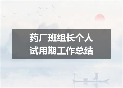 药厂班组长个人试用期工作总结