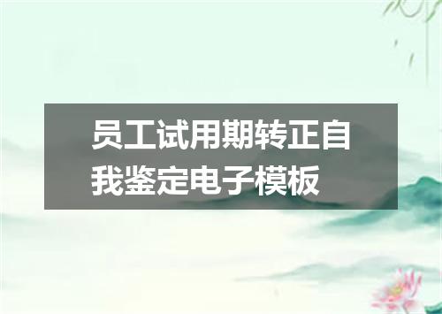 员工试用期转正自我鉴定电子模板