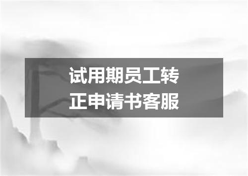 试用期员工转正申请书客服