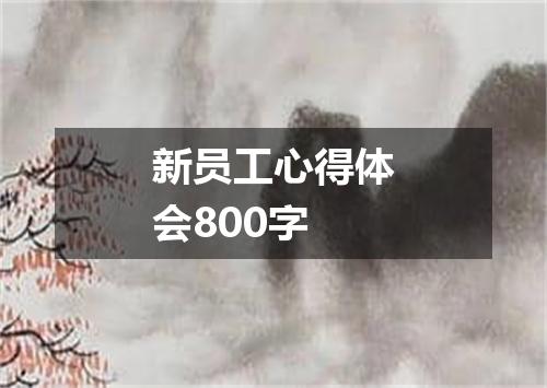 新员工心得体会800字