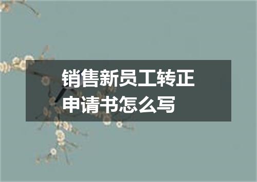 销售新员工转正申请书怎么写