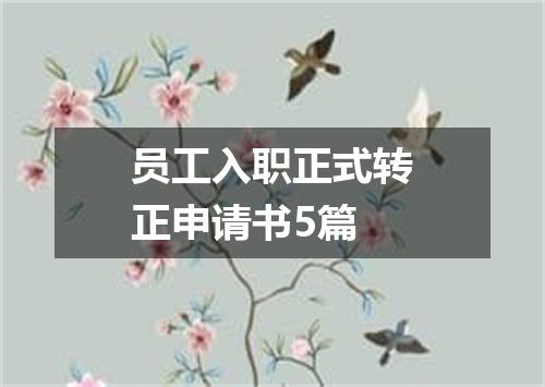 员工入职正式转正申请书5篇