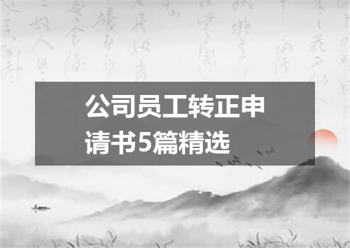 公司员工转正申请书5篇精选