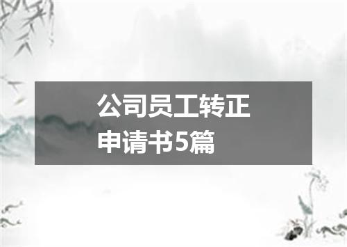 公司员工转正申请书5篇