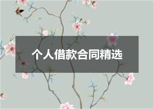 个人借款合同精选