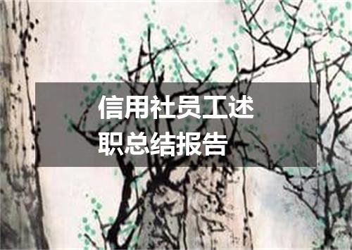 信用社员工述职总结报告