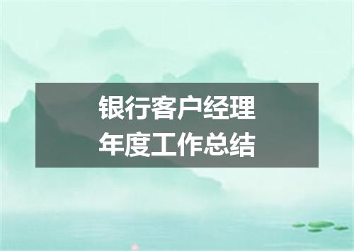 银行客户经理年度工作总结