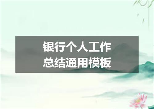 银行个人工作总结通用模板