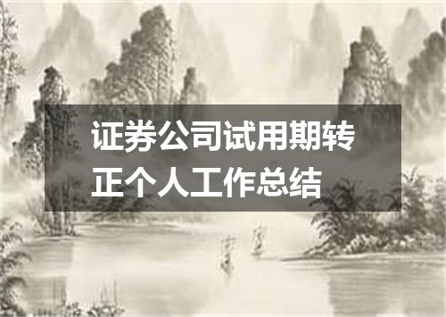 证券公司试用期转正个人工作总结